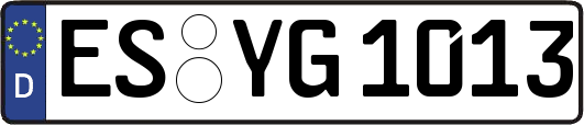 ES-YG1013