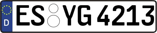 ES-YG4213