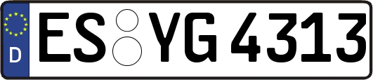 ES-YG4313