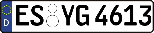 ES-YG4613