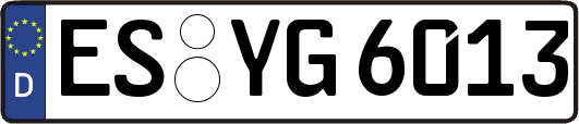 ES-YG6013