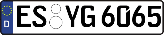 ES-YG6065