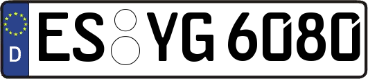 ES-YG6080