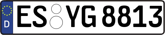 ES-YG8813