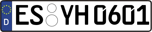 ES-YH0601