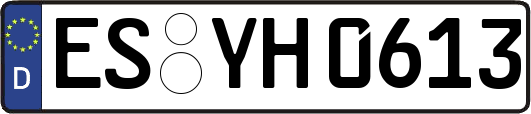 ES-YH0613