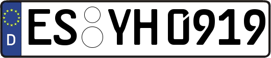 ES-YH0919
