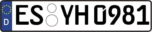 ES-YH0981
