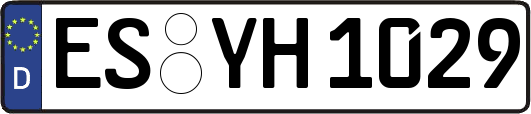 ES-YH1029