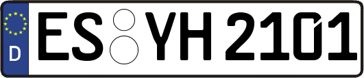ES-YH2101