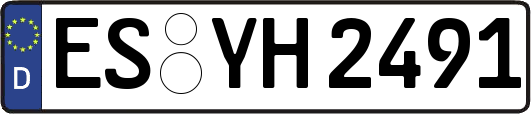 ES-YH2491