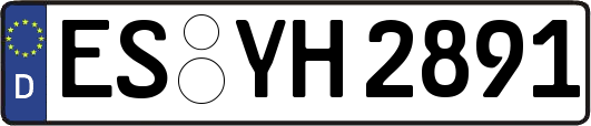 ES-YH2891