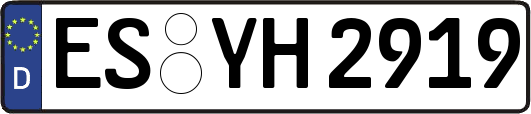 ES-YH2919