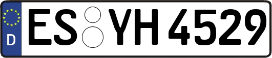 ES-YH4529