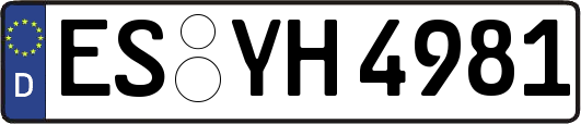 ES-YH4981