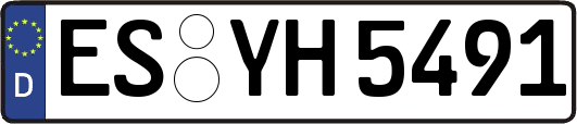 ES-YH5491