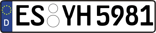 ES-YH5981