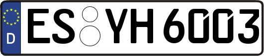 ES-YH6003