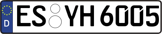 ES-YH6005