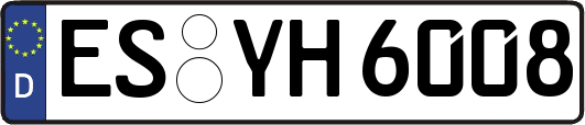 ES-YH6008
