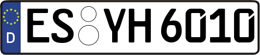 ES-YH6010