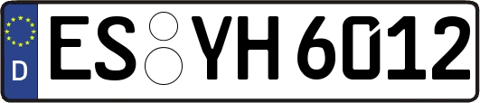ES-YH6012