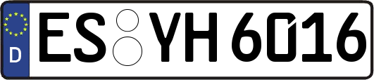 ES-YH6016