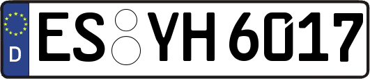 ES-YH6017