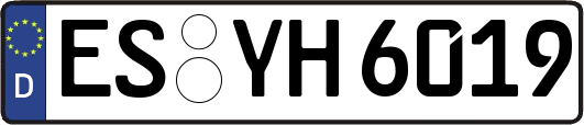 ES-YH6019