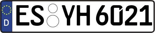 ES-YH6021