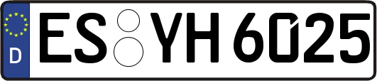 ES-YH6025