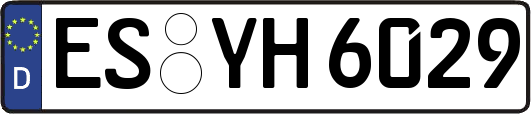 ES-YH6029