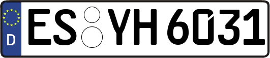 ES-YH6031