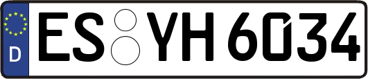 ES-YH6034