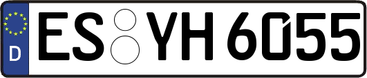 ES-YH6055