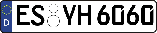 ES-YH6060