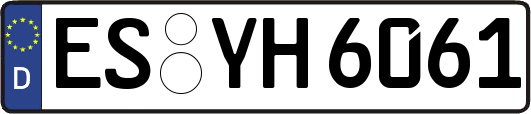 ES-YH6061