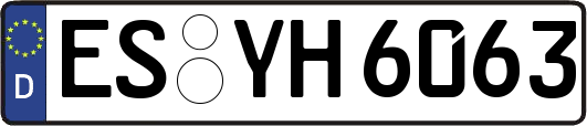 ES-YH6063