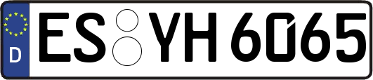 ES-YH6065