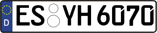 ES-YH6070