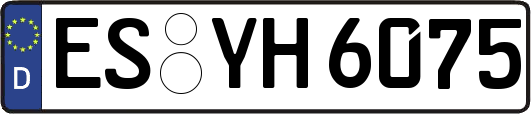 ES-YH6075