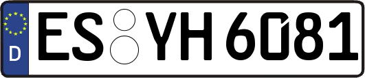 ES-YH6081