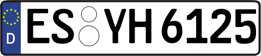 ES-YH6125