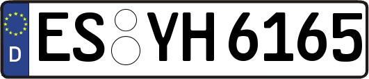 ES-YH6165