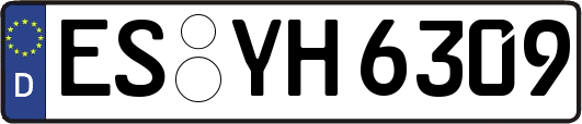 ES-YH6309