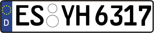 ES-YH6317