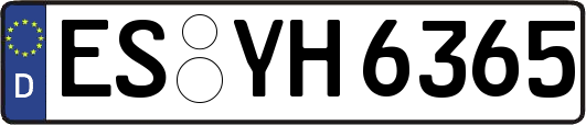 ES-YH6365