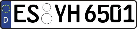 ES-YH6501