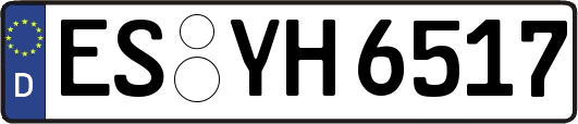 ES-YH6517