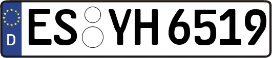 ES-YH6519